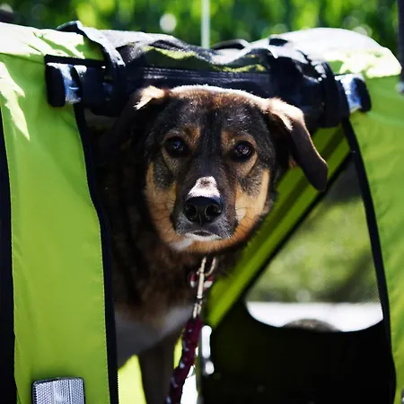 Laendleapartments Apartment *