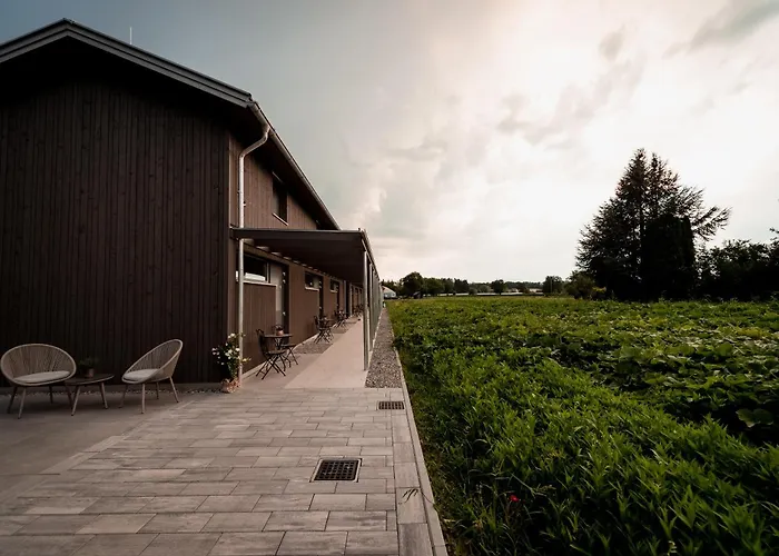 Appartement Laendleapartments Höchst