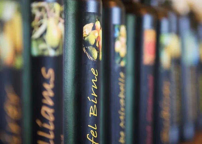 Laendleapartments * Höchst