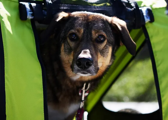 Laendleapartments Appartement *