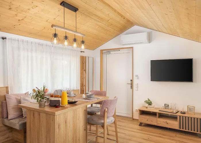 Apartment Laendleapartments Höchst